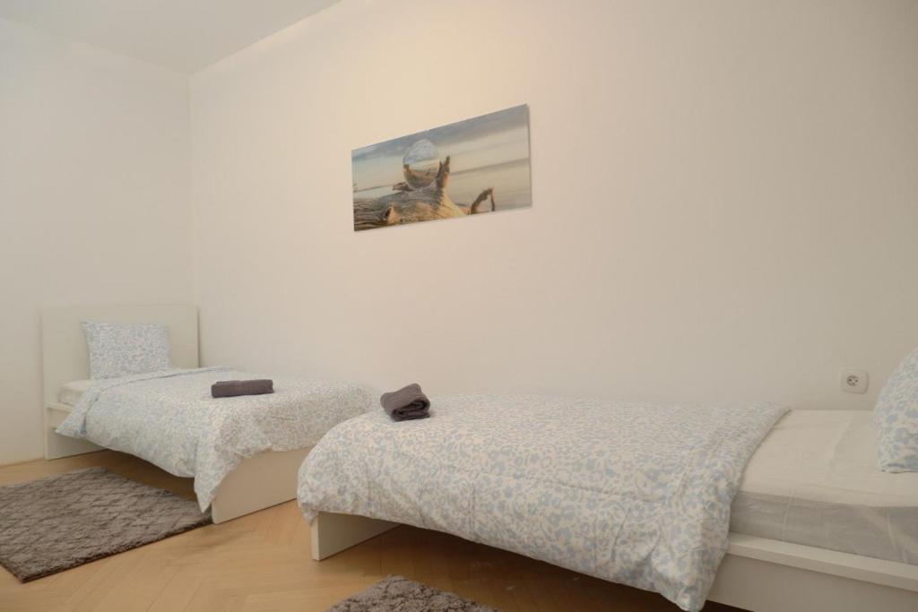 Fotografie z fotogalerie ubytování ROOMS Udolni Červený kostel v destinaci Brno