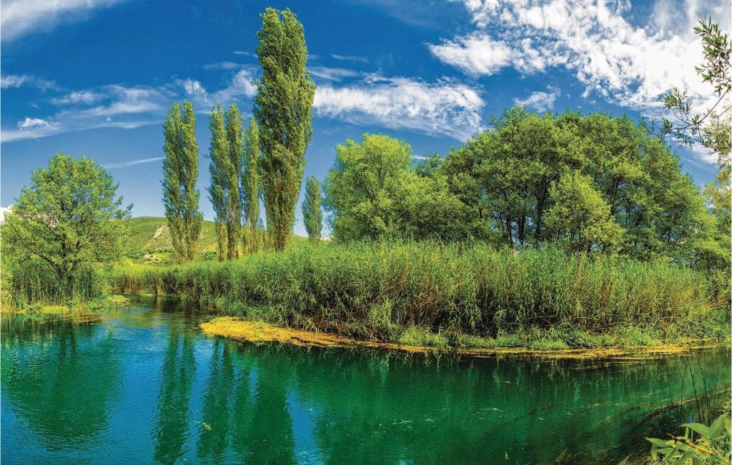 Příroda nedaleko apartmánu