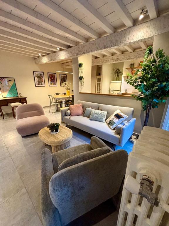 un salon avec des canapés, des chaises et une table dans l'établissement Résidence Auguste - Centre historique Arles, à Arles