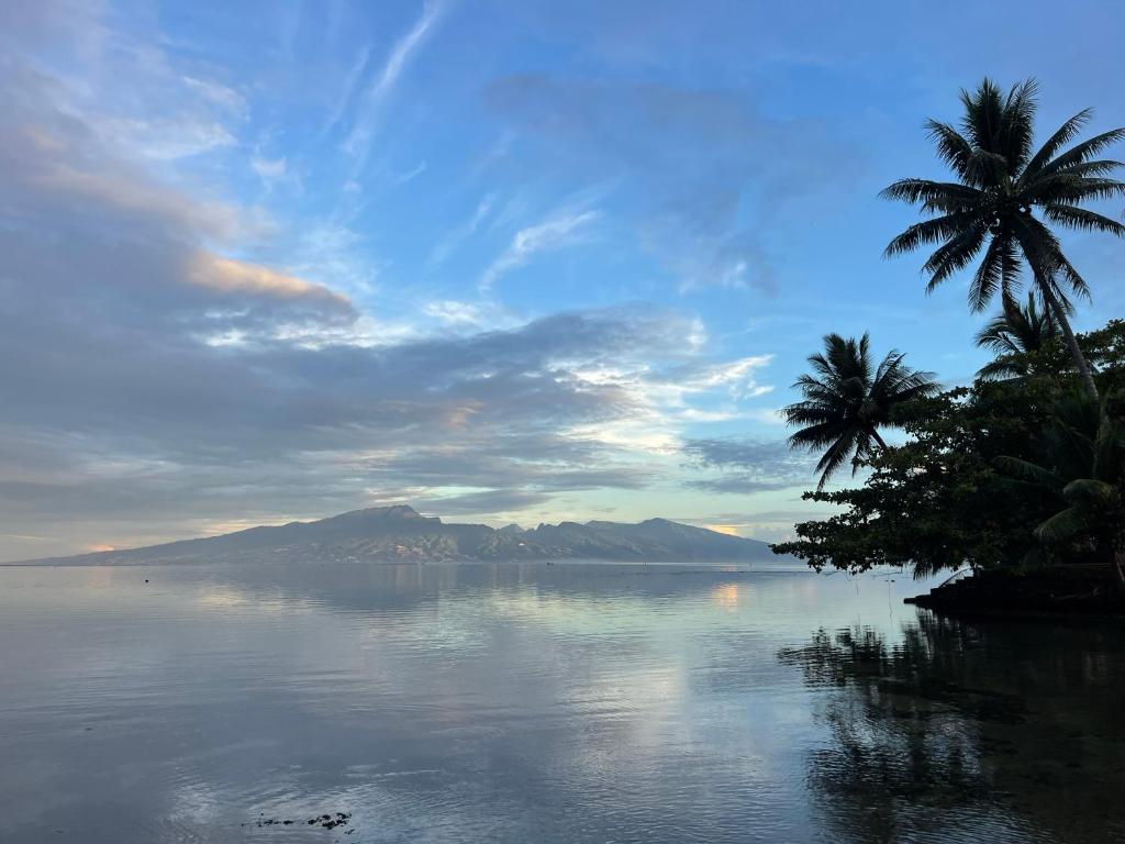 Fare Hoa Moorea - photo 12 - Moorea, Polynésie