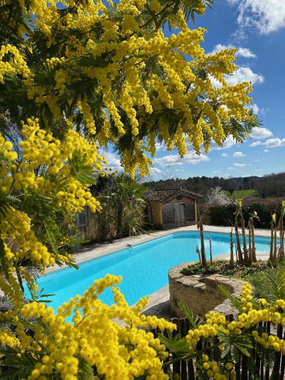 Petite maison Peyrot - Housity