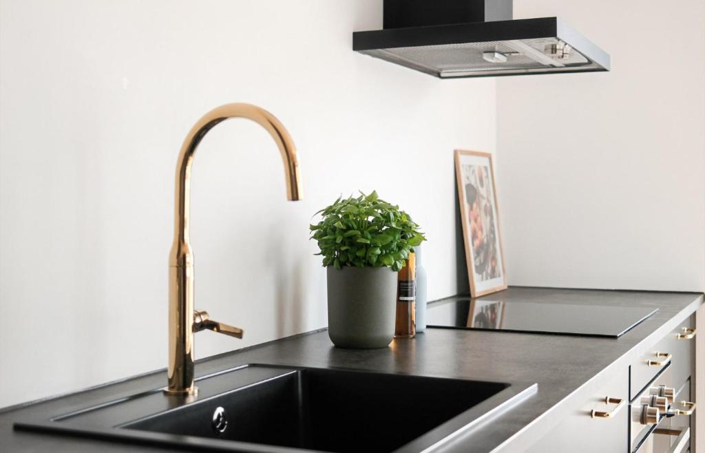 Kuchyň nebo kuchyňský kout v ubytování Koselig sentral leilighet