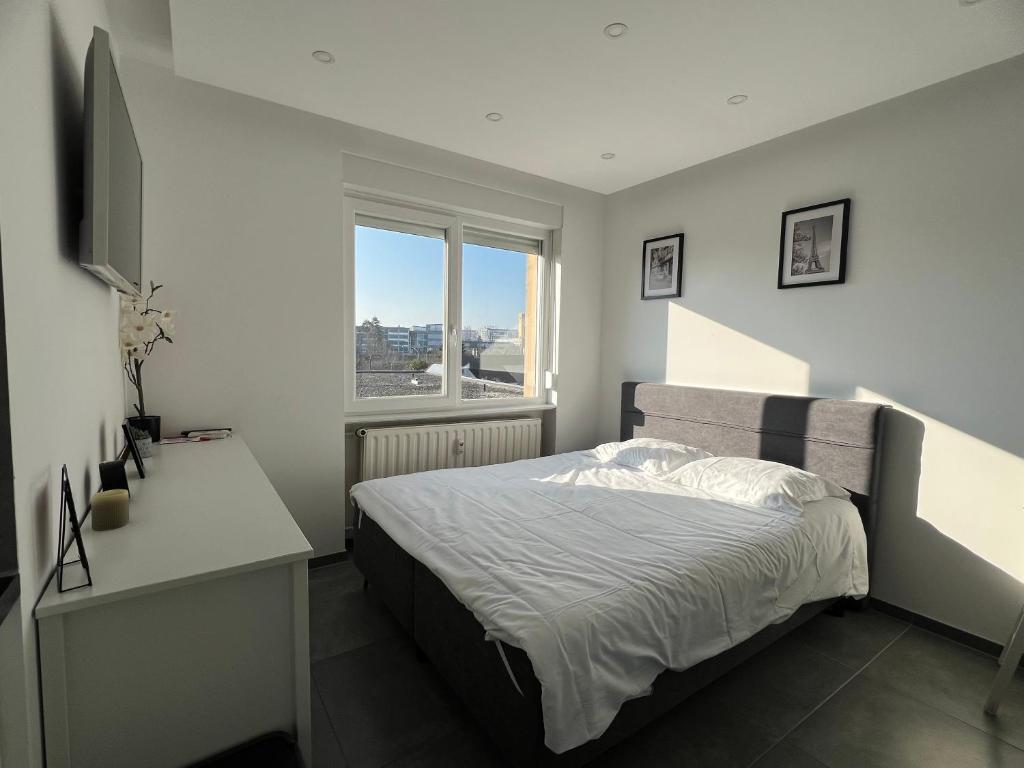 une chambre avec un lit, un bureau et une fenêtre dans l'établissement Nice Studio 2 pers Near Basel stationnement gratuit, à Saint-Louis