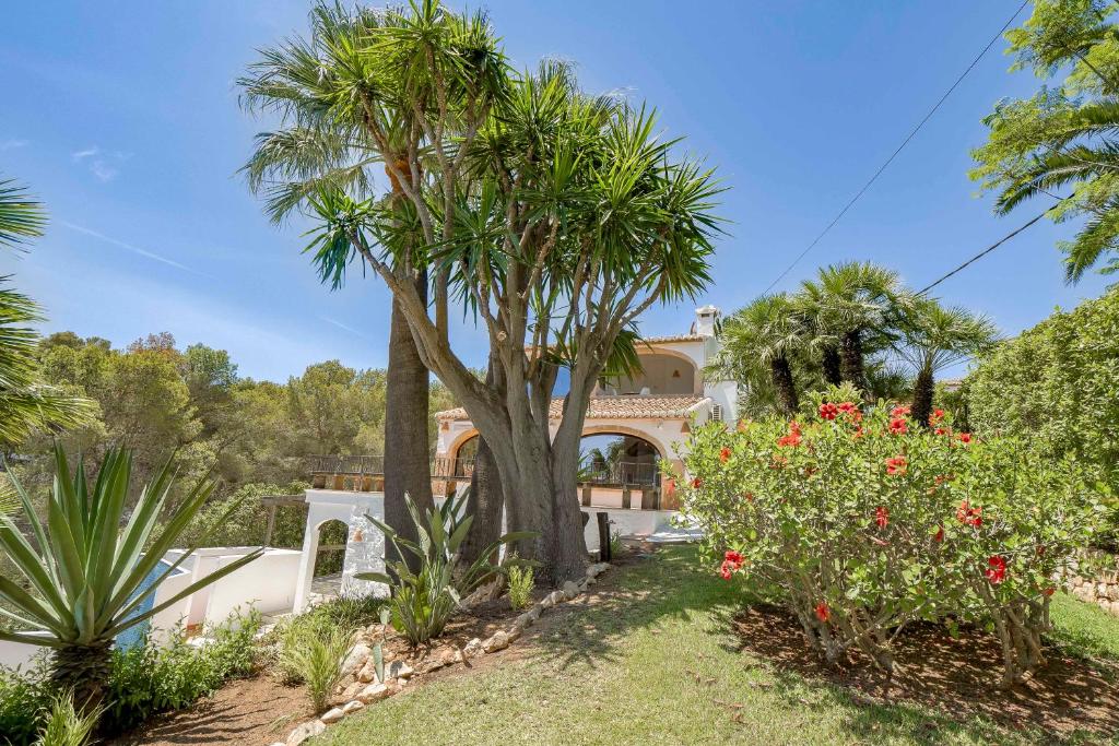 a house with a palm tree in a garden at Villa Tosalet Pomelo in Jávea