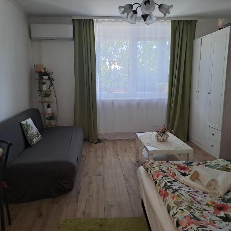 salon z kanapą i oknem w obiekcie Tünde lak w Siófoku