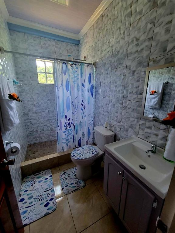 BelmontSpring View Apartment的配有马桶、淋浴和水槽的浴室