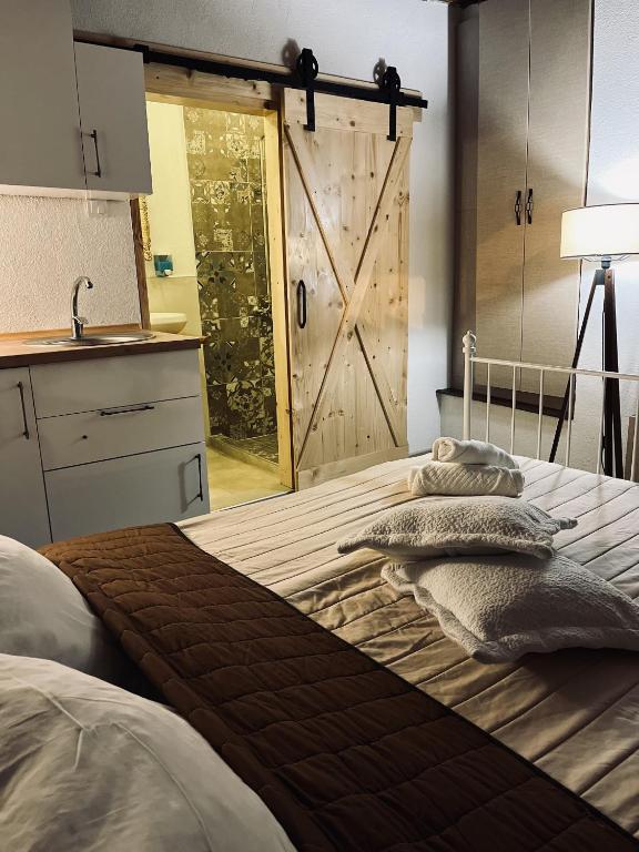 a bedroom with a bed with a sliding barn door at Riverside Apartment in Bitola
