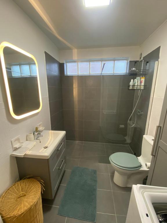 une salle de bain avec un lavabo, des toilettes et une douche dans l'établissement Studio lumineux proche de Paris, à Asnières-sur-Seine