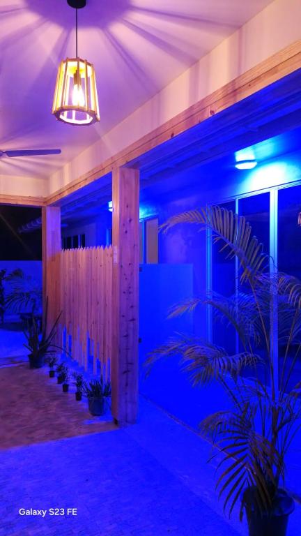 Fotografie z fotogalerie ubytování Sun Beach Dhigurah v destinaci Dhigurah