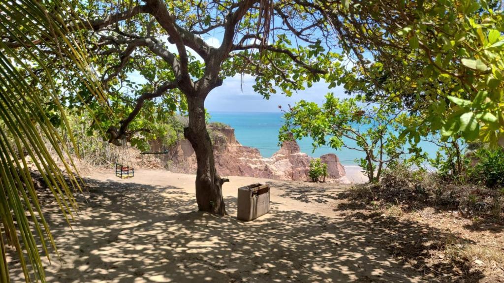 a tree on a dirt path next to the beach at Bela casa jacumã in Conde