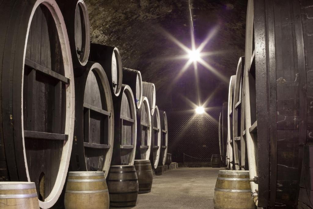 Fotografie z fotogalerie ubytování Hotel Stari Podrum v destinaci Ilok
