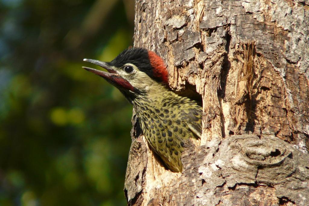  Hotel Fazenda Areia que Canta