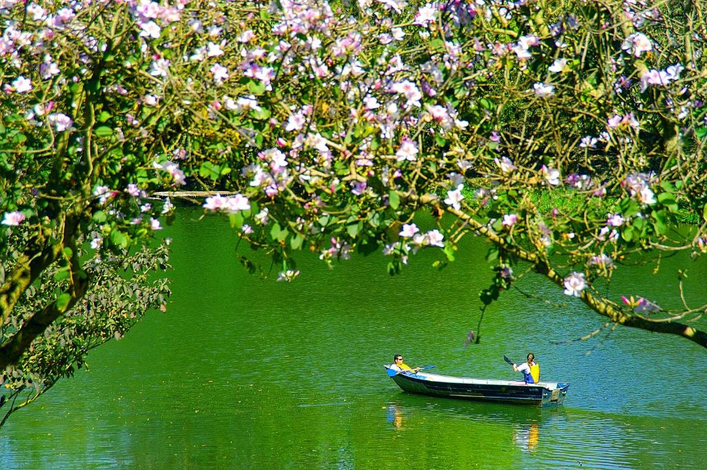  Hotel Fazenda Areia que Canta