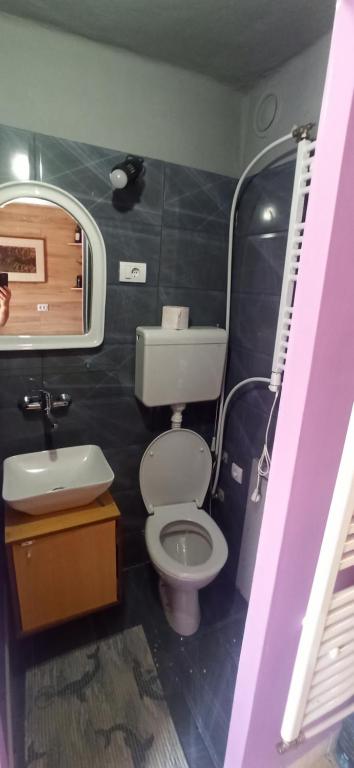 Billede fra billedgalleriet på An-Du resort Stara Moravica 2 i Stara Moravica