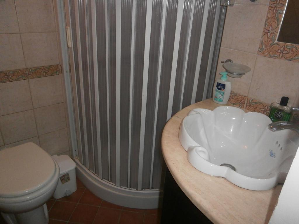 La salle de bains est pourvue d'un lavabo, d'une douche et de toilettes. dans l'établissement Apartment Maria, à Enna
