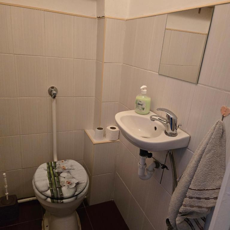 Łazienka w obiekcie Orsi Szálláshelyek Kecskemét 2