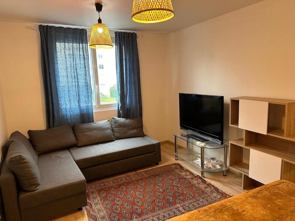 un salon avec un canapé et une télévision à écran plat dans l'établissement Apartment - 2 rooms - Malakoff, à Malakoff