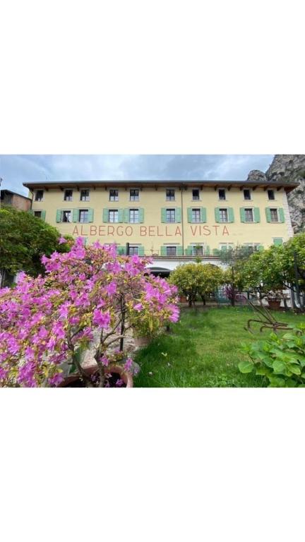 Zahrada ubytování Albergo Bellavista