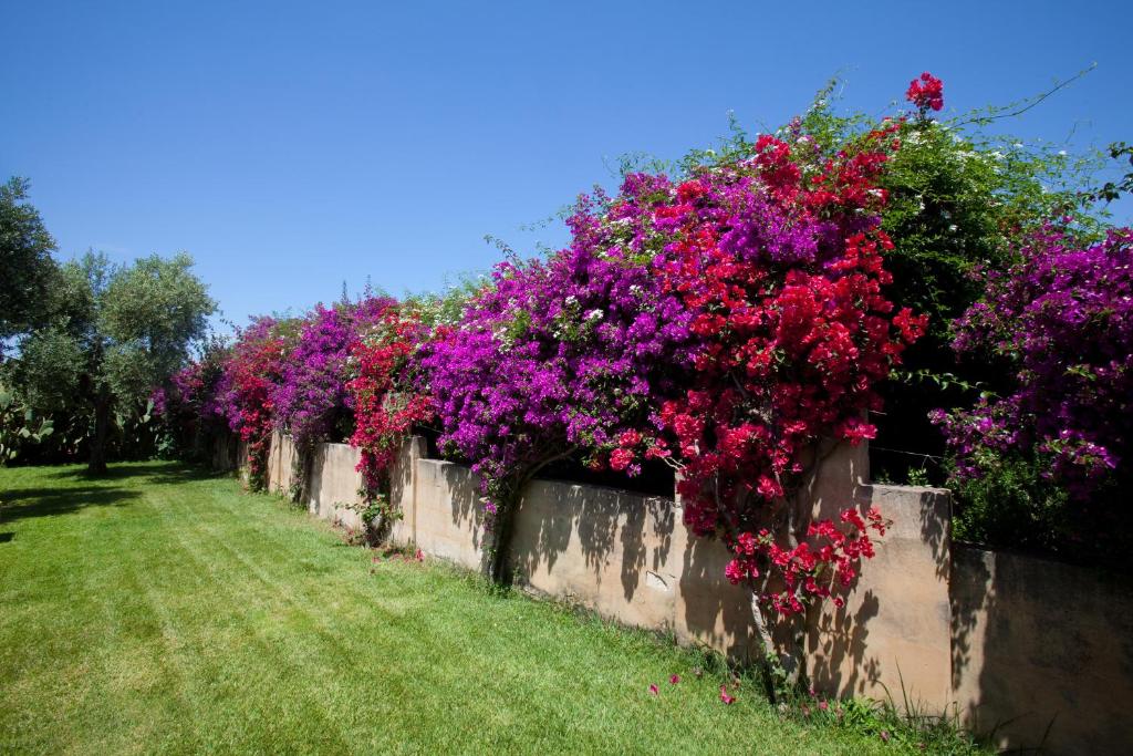 Zahrada ubytování Masseria Li Foggi