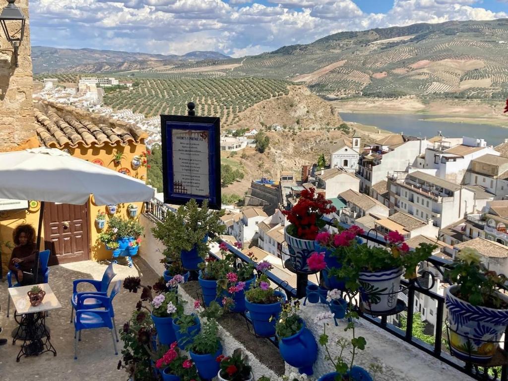 a view of a town with potted plants on a balcony at Dehesilla Olive Orchard Retreat in Fuentes de Cesna