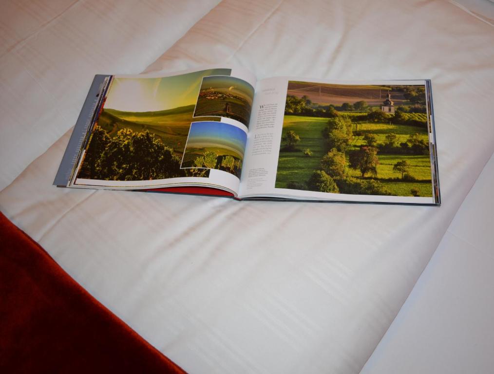 Fotografie z fotogalerie ubytování Hotel-Gasthof Rotes Roß v destinaci Markt Einersheim