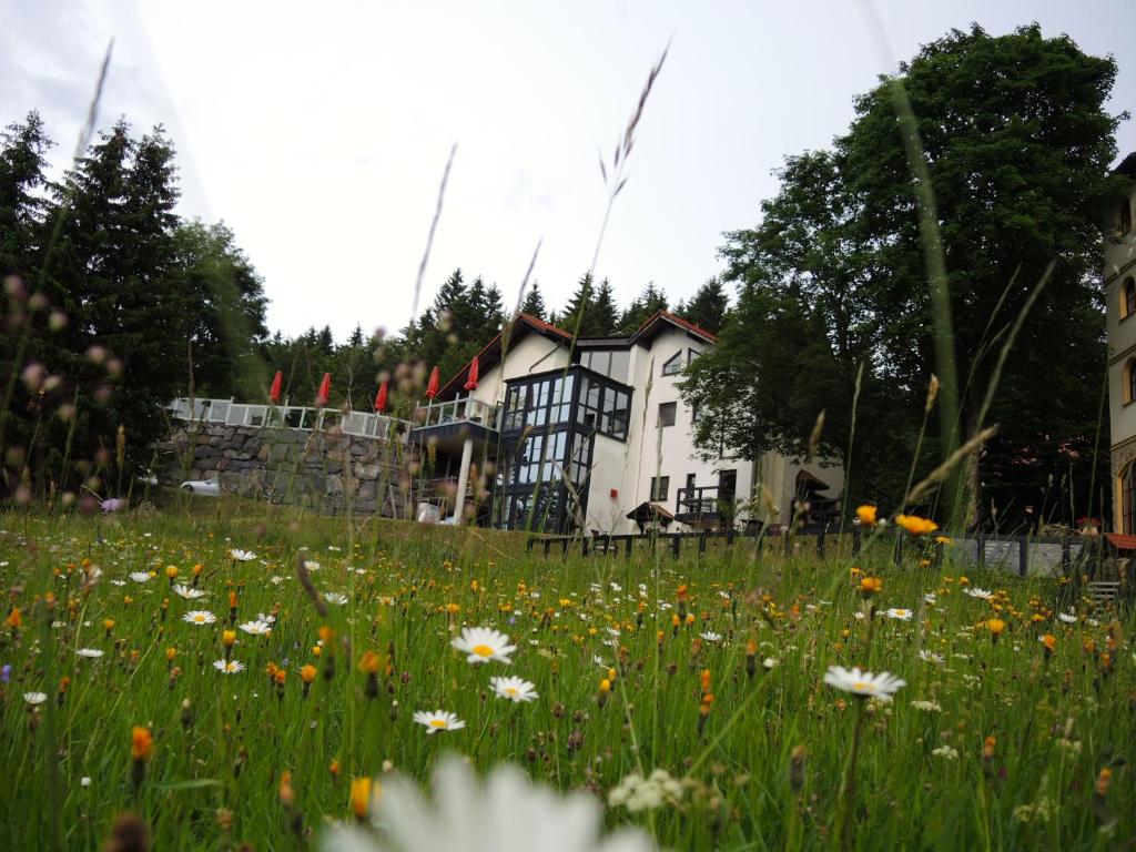 ein Blumenfeld vor einem Haus in der Unterkunft Gastinger Hotel-Restaurant in Schmiedefeld am Rennsteig