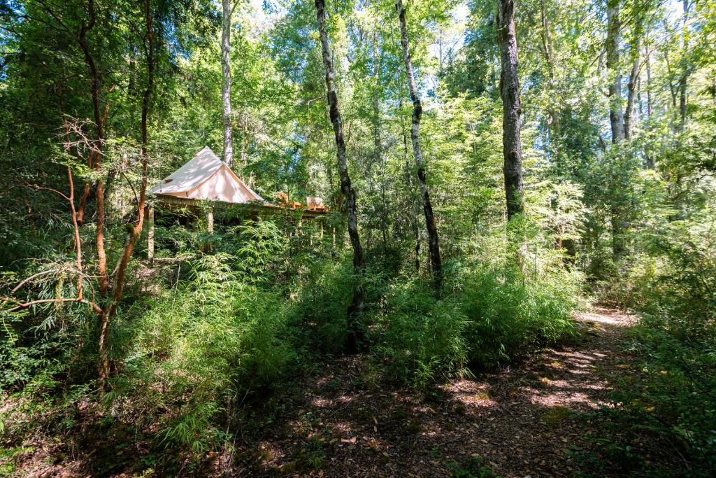 Příroda nedaleko luxury tent