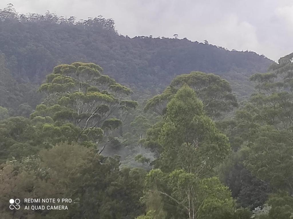 Winter Rest Villa - 19