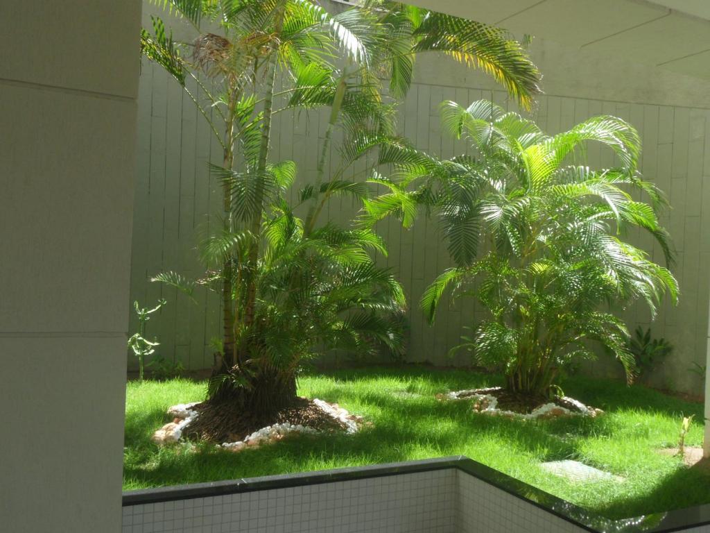  Barra Tropical Residence