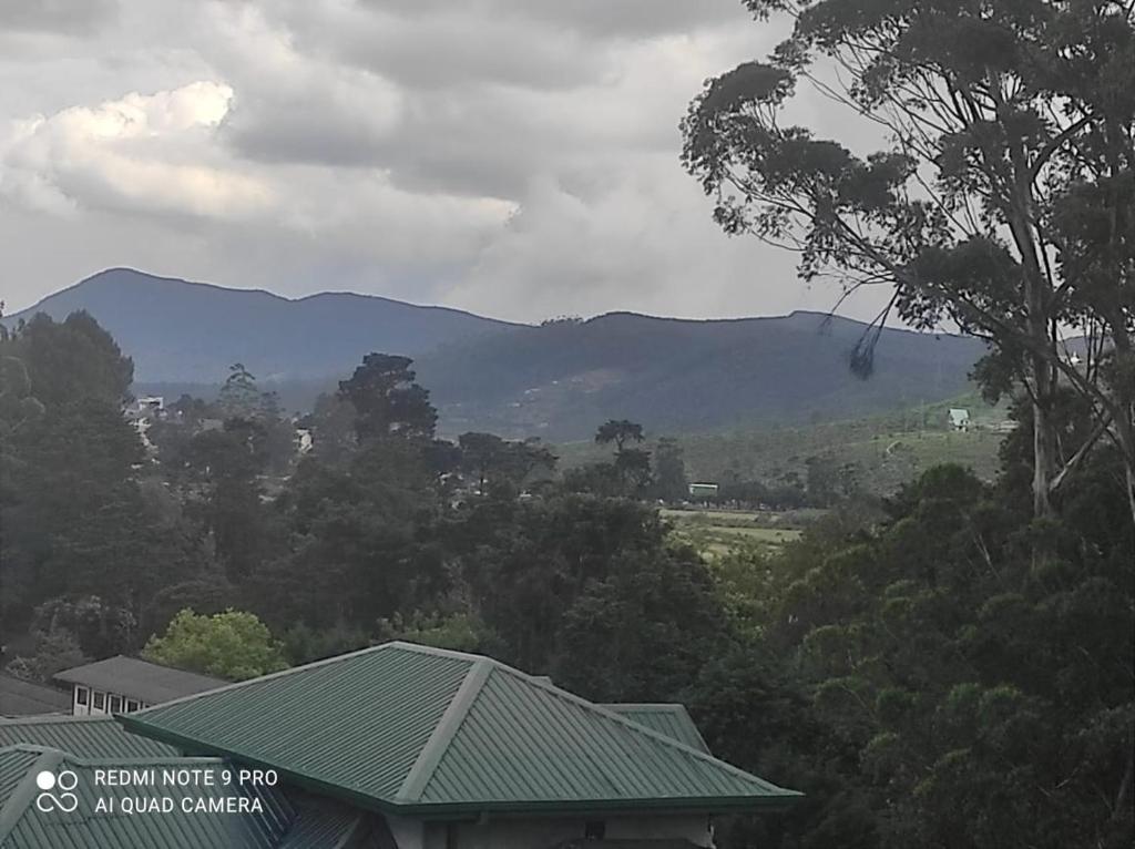 Winter Rest Villa - 13