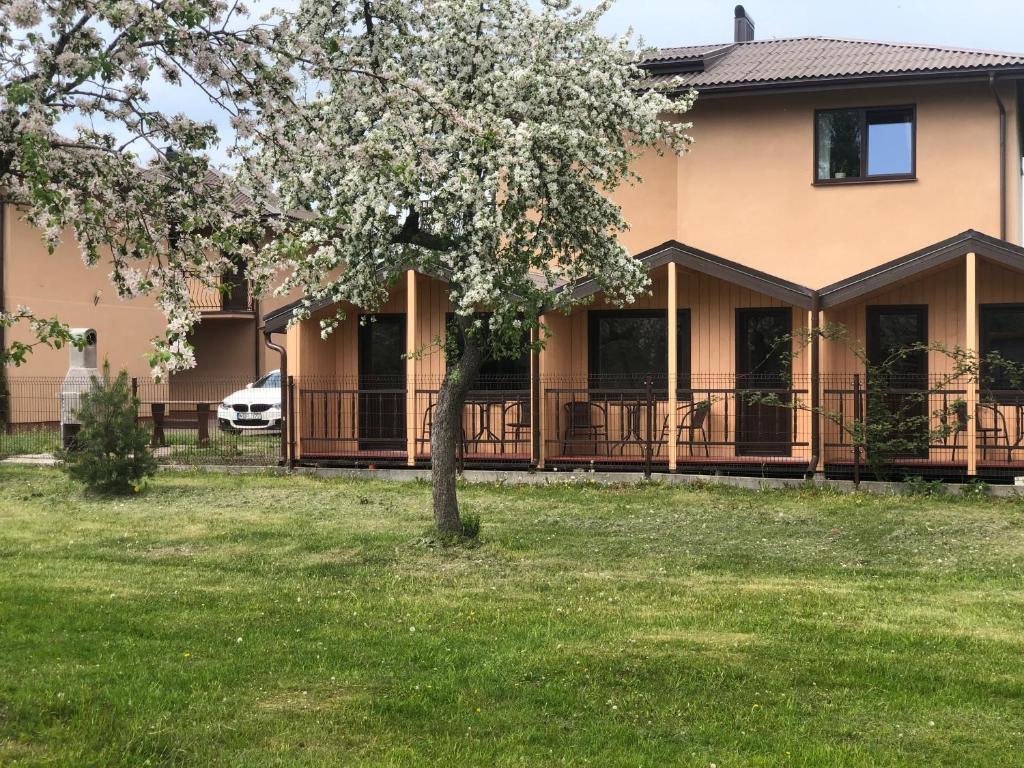 a house with a tree in the yard at Nameliai Suaugusiems, Sventojoje in Palanga