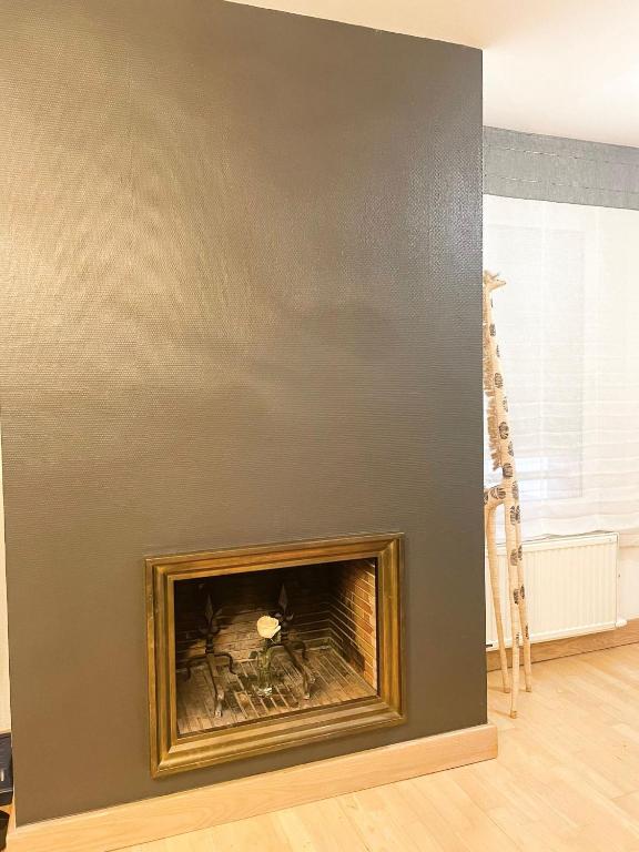 Bale 23 Magnifique Logement 6 Pers Parking Prive – photo 20
