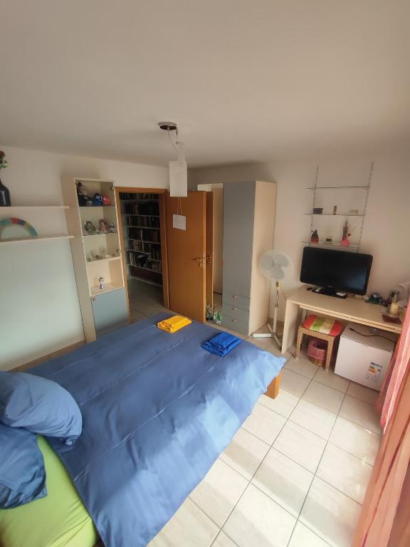 Postel nebo postele na pokoji v ubytování Casa Diana Ticino