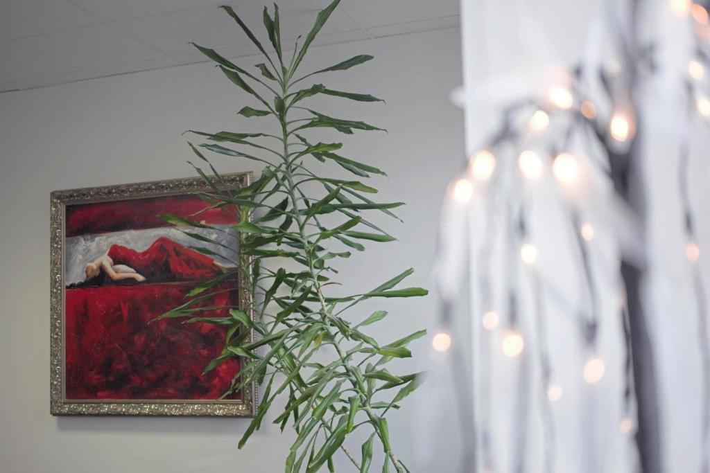 Fotografie z fotogalerie ubytování Yasmina Hostel v destinaci Valga