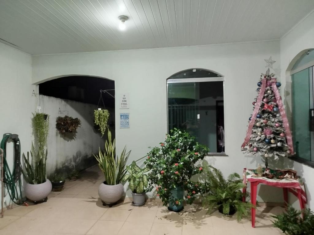 Zahrada ubytování Casa Especial Sandro e Jaque
