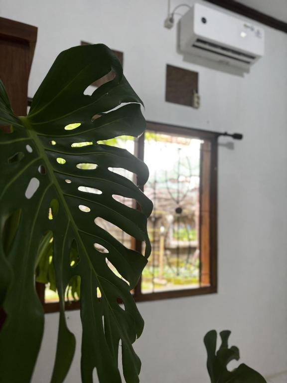 Fotografie z fotogalerie ubytování Zzz Hostel Ijen v destinaci Banyuwangi