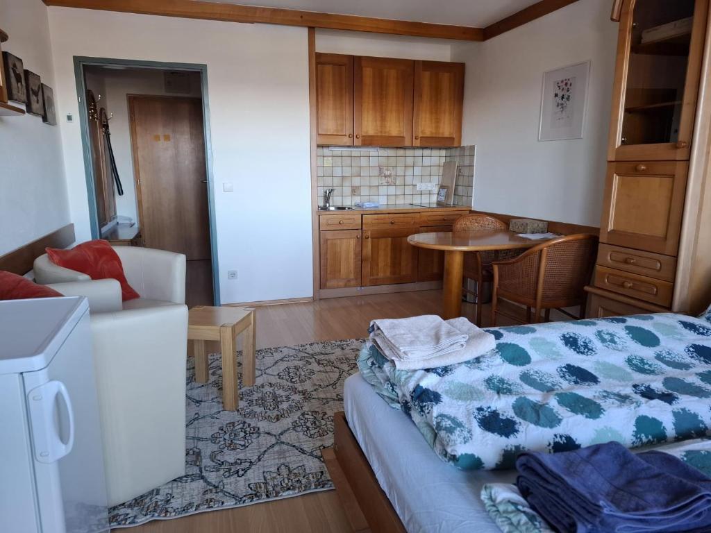 Kuchyň nebo kuchyňský kout v ubytování Apartments Susanne und Jasmin - Haus Sonnleitn