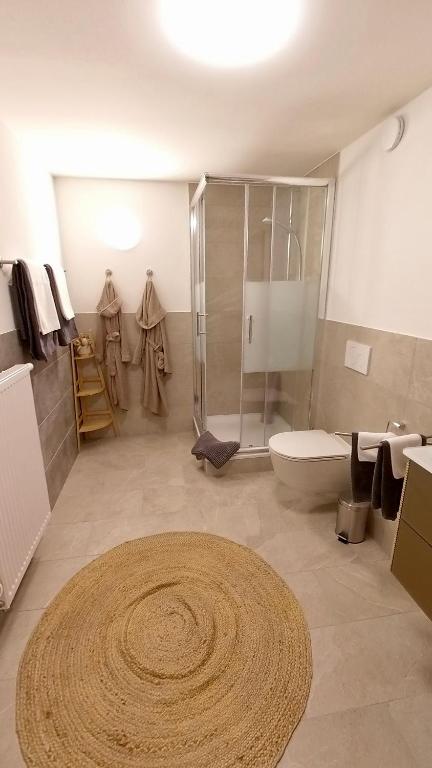 Vannituba majutusasutuses Magnifique studio dans une villa