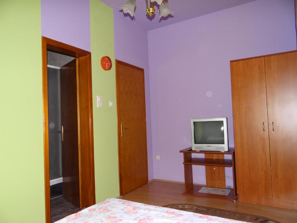 TV a/nebo společenská místnost v ubytování Naša Tvrđava Guest Accommodation