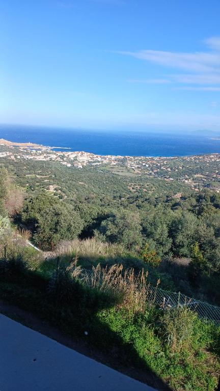 Vue d'un champ avec l'océan en arrière-plan dans l'établissement Maison de village 3 chambres vue mer, à Santa-Reparata-di-Balagna