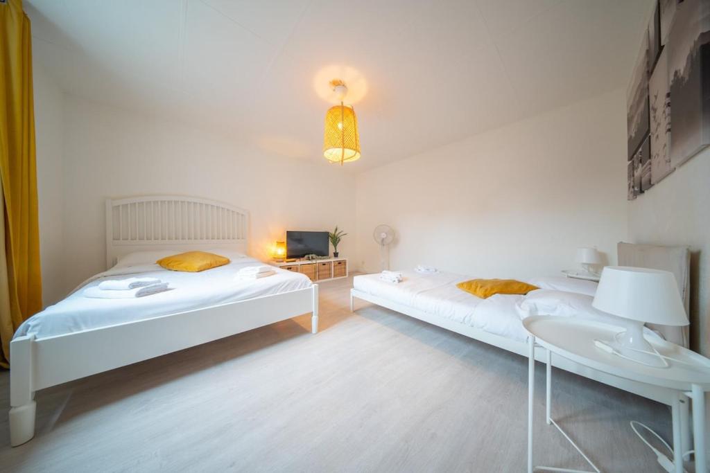 Very nice apartment - downtown Mulhouse Le 42 – photo 5