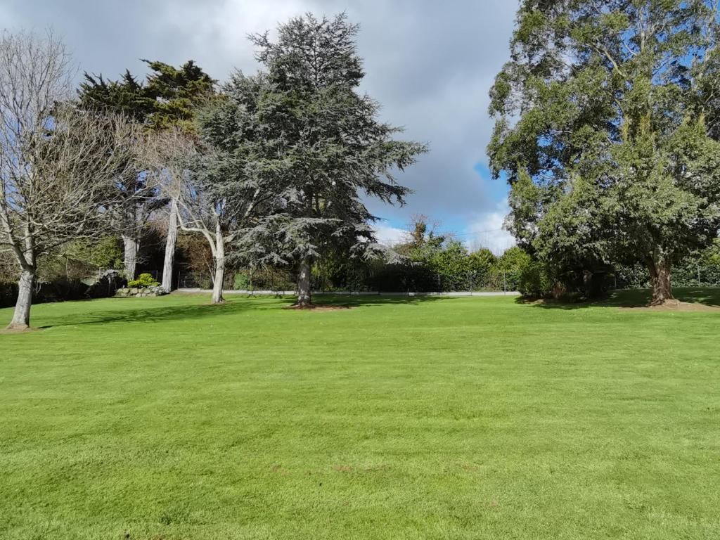 un grand champ vert avec des arbres en arrière-plan dans l'établissement Les Neyes, à Binic
