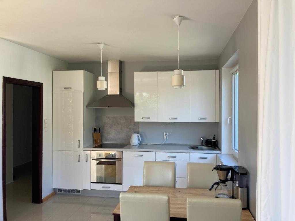 Kuchyňa alebo kuchynka v ubytovaní Apartament Argo
