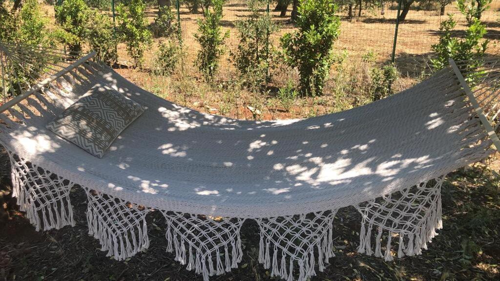 Zahrada ubytování Trulli alla Controra