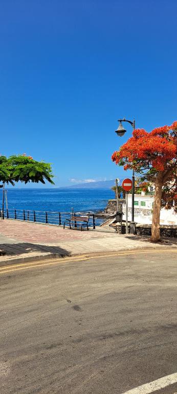 Eine Straße mit einem Baum am Meer in der Unterkunft Casa Mirador in Alcalá