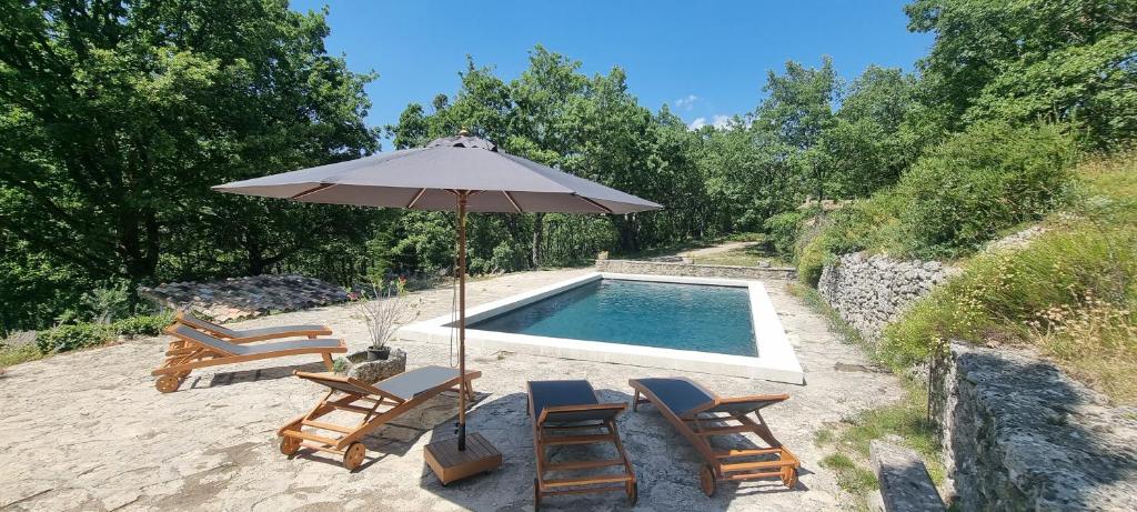 - une piscine avec des chaises, un parasol, une table et des chaises dans l'établissement En pleine foret, à Aurel