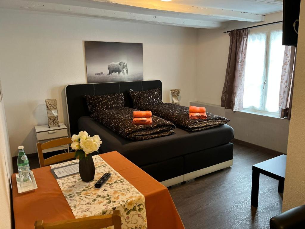 Posezení v ubytování Hotel Bären Amriswil