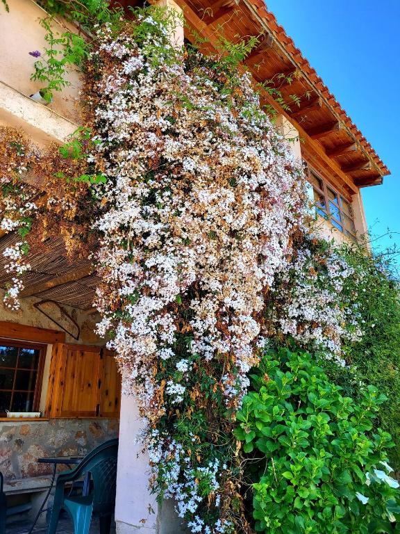 Vonkajšia záhrada v ubytovaní Casa Rural Balcón del Camino Viejo