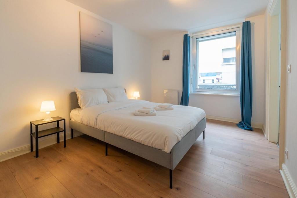 Merles 15 RDC Centre Mulhouse Stationnement – photo 7