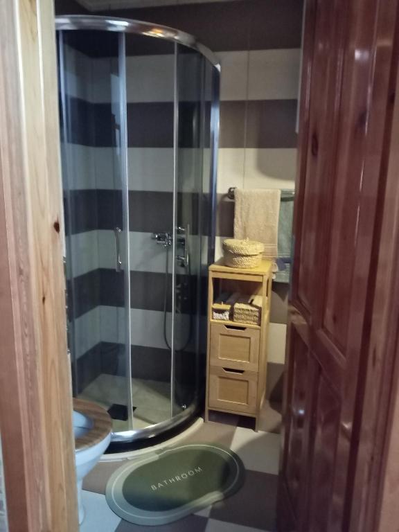 a bathroom with a glass shower and a sink at Simic Apartmani Tara in Kaludjerske Bare